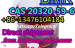 mediacongo